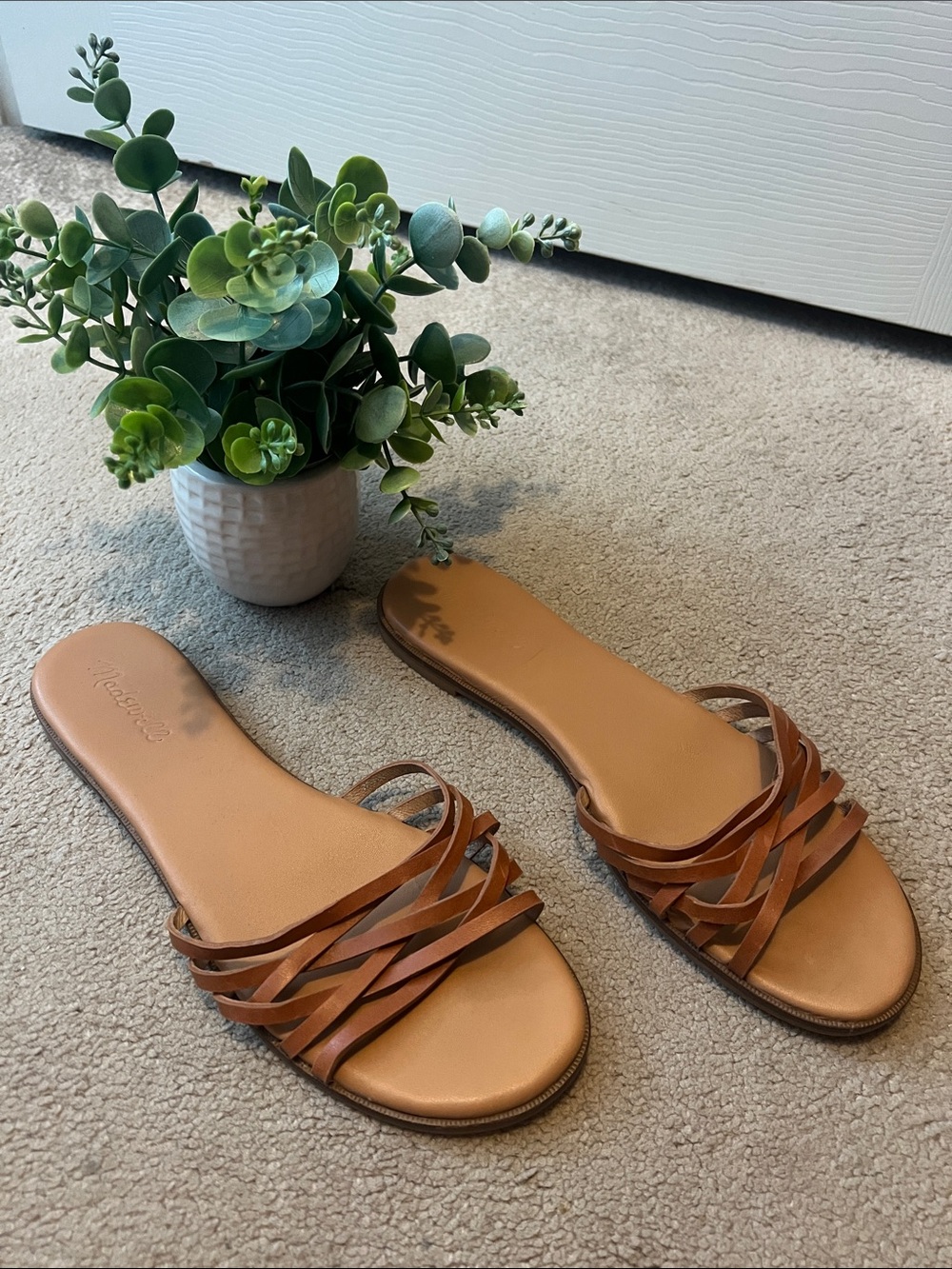 Classic Brown Strappy Slide Sandals - Women's